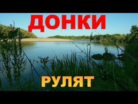 Видео: ТРИ ДОНКИ НА БЕРЕГУ,ОКОРОЧКА В ТАНДЫРЕ,РЫБАЛКА УДАЛАСЬ.