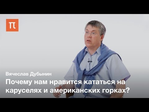 Видео: Вестибулярная система — Вячеслав Дубынин