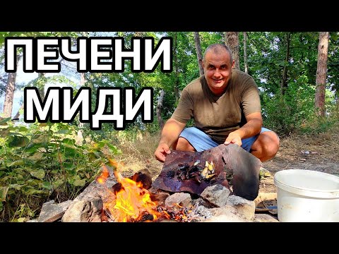 Видео: ПЕЧЕНИ МИДИ НА ТЕНЕКИЯ КРАЙ ЧЕРНО МОРЕ! Е НЯМА ТАКЪВ ВКУС! ЛЕКО ОПУШЕНИ, СОЧНИ И АПЕТИТНИ МИДИ!!!