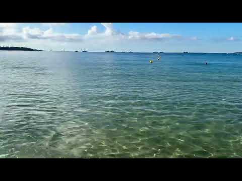 Видео: Привет 👋 с Лазурного Берега 🇫🇷 