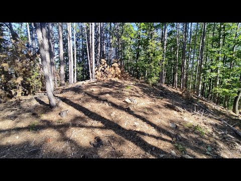 Видео: Тракийска крепост с.Орловци 2025