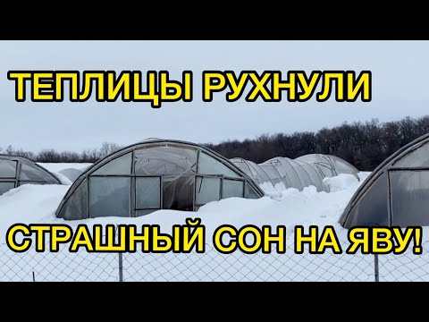 Видео: Наши теплицы не выдержали этот снегопад