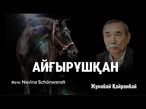 Видео: Байдың ақымақтығы… АЙҒЫРҰШҚАН