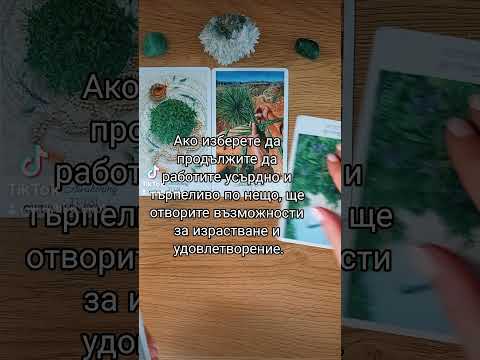 Видео: Таро послание 🪔✨️🪭 #гледаненакарти #таро