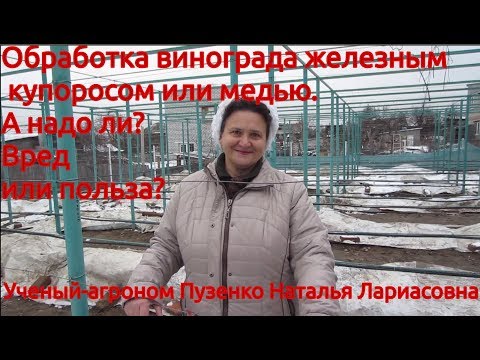 Видео: Обработка виноградника железным  купоросом - вред или польза? (Пузенко Наталья Лариасовна)