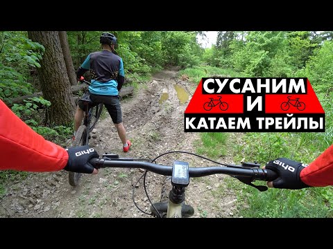 Видео: Катаю трейлы на фэтбайке | Хочу лёгкую мтб-шку!
