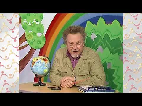 Видео: Школа Шишкиного Леса.  География.  Животный мир Арктики