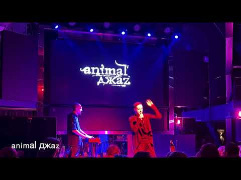 Видео: Animal Jazz - Концерт в Кишинёве, 25 09 25