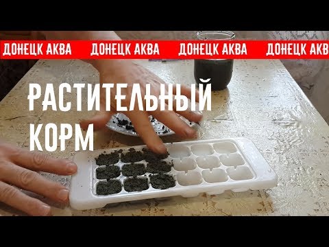 Видео: Amazing idea, как сделать корм для рыб, How to make fish food, cómo hacer alimento para peces,