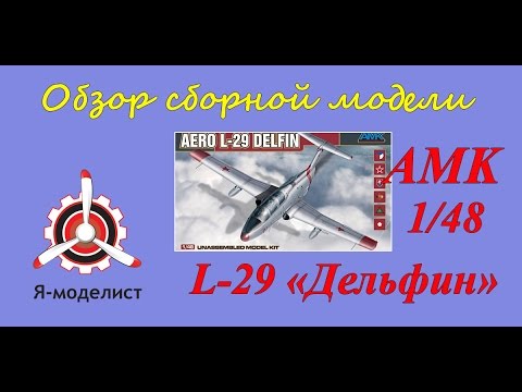 Видео: Обзор модели L-29 "Дельфин".