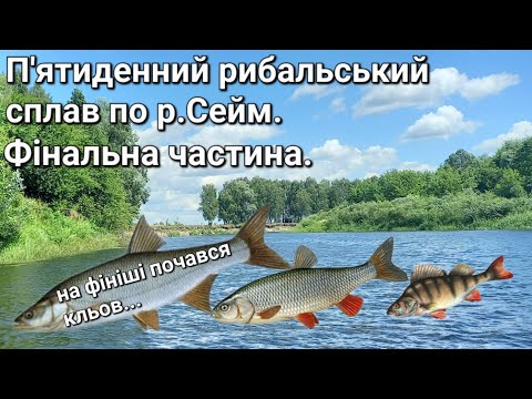 Видео: Рибальський сплав по річці Сейм.Частина четверта - Фінальна. Липень 2023.