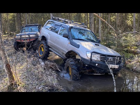 Видео: Бека TLC80 и Саша TLC105, едем на болота...