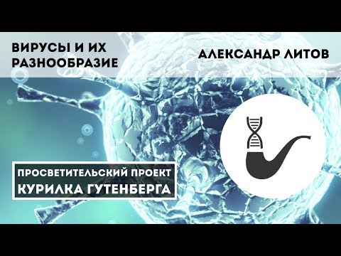 Видео: Вирусы и их разнообразие – Александр Литов