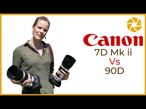 Видео: Canon 90D против 7D MK II для фотосъемки дикой природы.
