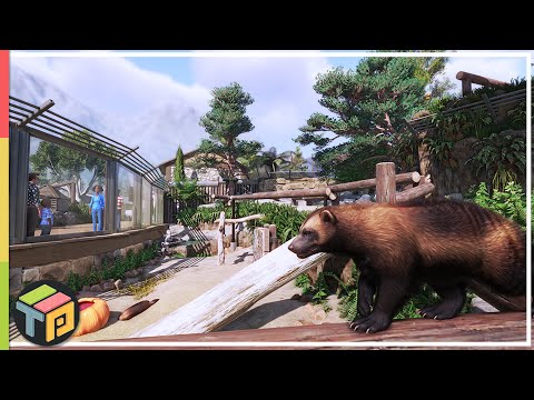 Видео: Создание среды обитания росомах | Зоопарк Тигиду | Planet Zoo