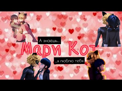 Видео: МариКот #1 | Переписки Леди Баг и Супер Кот | Nour Bug ♥️