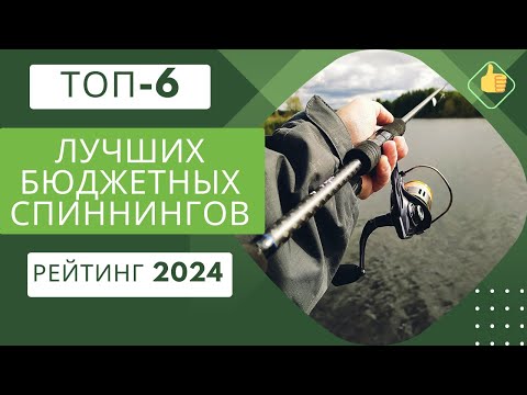 Видео: ТОП-6. Лучших бюджетных спиннингов🎣Рейтинг 2024🏆Какой выбрать для щуки?