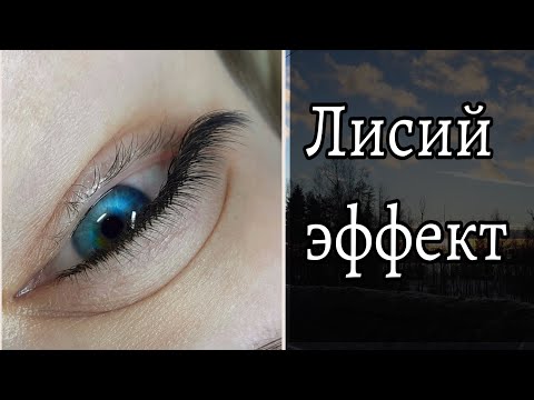 Видео: Лисий эффект