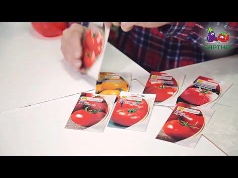 Видео: Как вырастить рассаду томатов. Часть 1