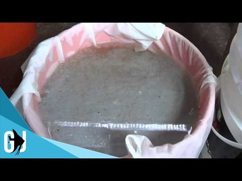 Видео: #288: Как поддерживать живую культуру дафний в ведре объёмом 5 галлонов — DIY Wednesday