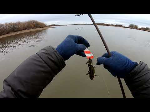 Видео: Половили щук на спиннинг