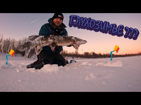 Видео: РЫБАЛКА НА ЖЕРЛИЦЫ В ЯНВАРЕ | ГЛУХОЗИМЬЕ???