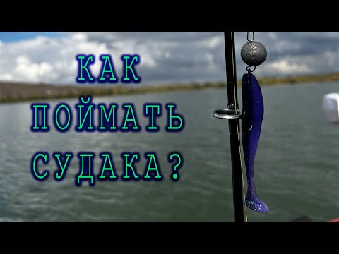 Видео: Как поймать судака? Рыбалка на водохранилище.