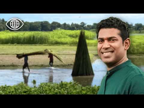Видео: Как бамбук поддерживает целую страну? ⎮Документальный фильм о Бангладеш⎮AMP