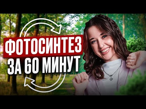 Видео: ФОТОСИНТЕЗ ЛЕГКО и ПОНЯТНО для ЕГЭ и ОГЭ по биологии / Как ПРОХОДИТ ФОТОСИНТЕЗ?