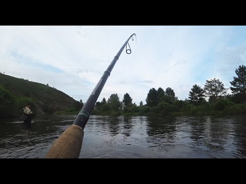 Видео: Рыбалка в Чите. Рыбалка на спиннинг на малых реках Забайкалья