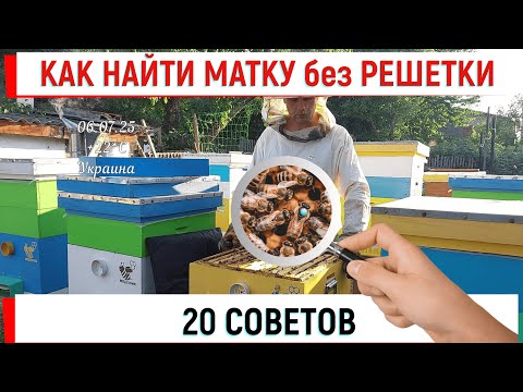 Видео: Как найти матку без решетки. Советы начинающим.