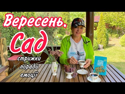 Видео: Вересень.Робота в САДУ коли мало часу.