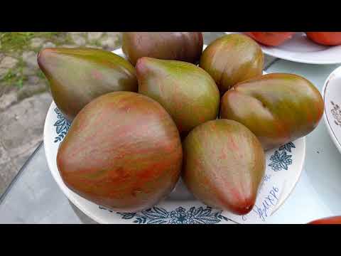 Видео: Лучшие сорта  томатов  2025г. На столе и в разрезё.
