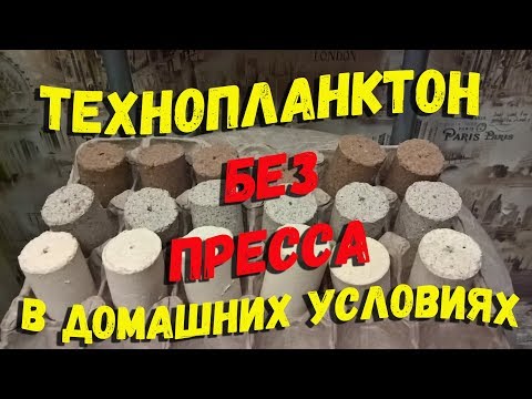 Видео: Технопланктон без пресса в домашних условиях