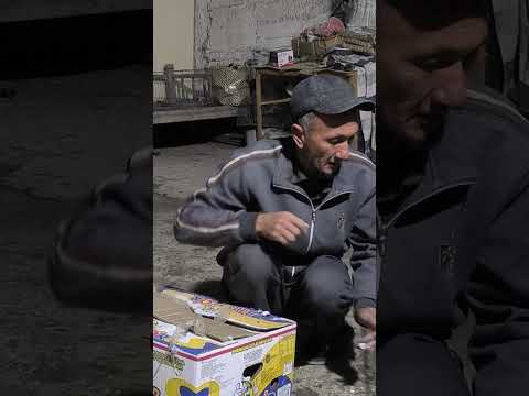 Видео: 10 октября 2025 г.