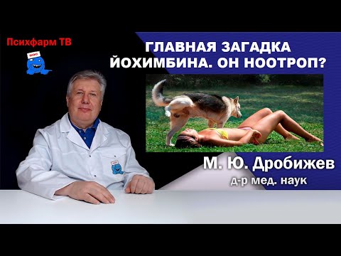 Видео: Главная загадка Йохимбина. Он ноотроп?