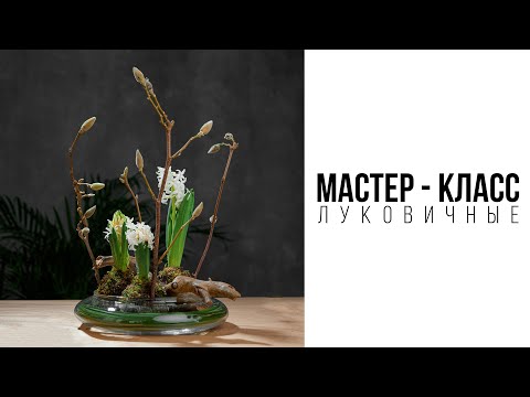 Видео: Мастер - класс от преподавателя Kazanflowerschool! Композиция/кокедамы/ луковичные.