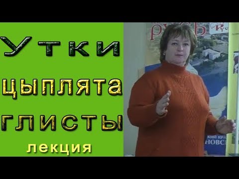 Видео: Про уток, цыплят и глисты