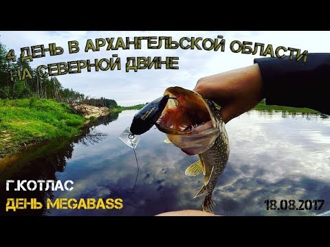 Видео: 4 день в Архангельской области на Северной Двине