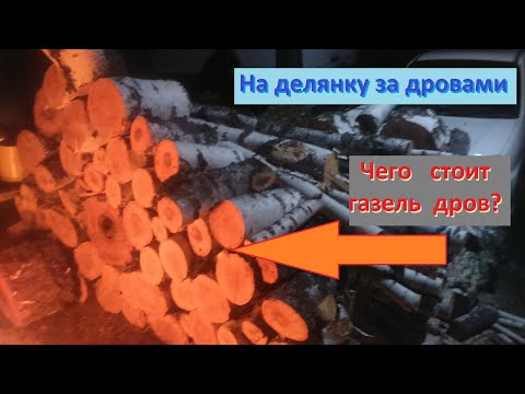 Видео: Работа на делянке. Заготовка дров. Газель дров в одного.