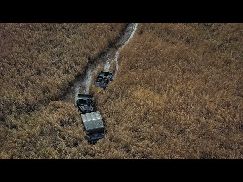 Видео: 13 октября 2024 г.