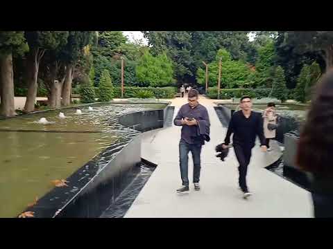 Видео: Идеальное место для отдыха🌴 Ботанический Сад Баку🌳Осенняя прогулка среди сосен,дубов🌲и цветов🌸🍁