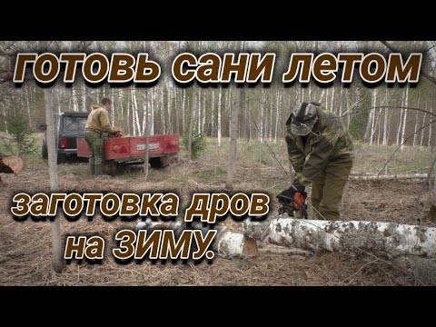 Видео: Готовь сани летом//заготовка дров на ЗИМУ.