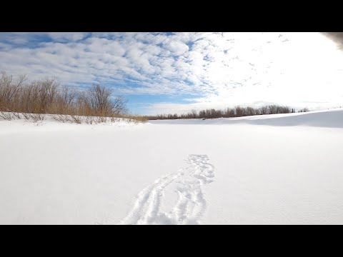 Видео: Любимая река. Рыбалка на хариуса с зятем. День первый.