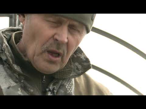 Видео: " Во саду ли, в огороде" ( Выпуск от 10.10.2025)