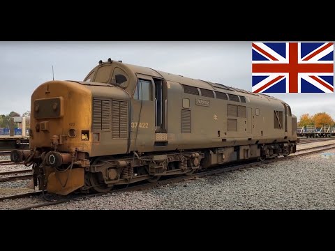 Видео: серия107 Английский тепловоз. Обзор Class 37, Class 55 #Class37 #Class55 Deltic