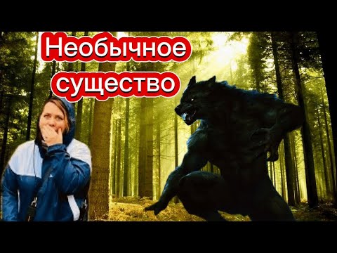 Видео: Жуткая реальная история, от которой мурашки по коже.