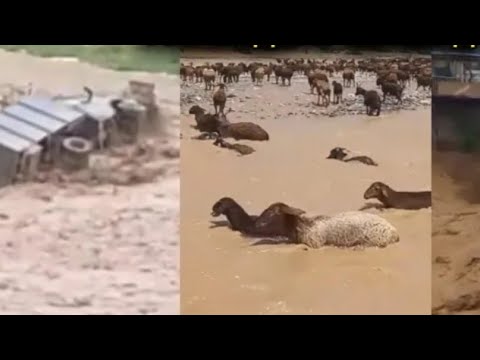 Видео: 😱ОМАДАНИ СЕЛ ВИДЁИ ПУРАШ (ДАШТИЧУМ)#Сел#точикистон#Даштичум