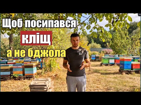 Видео: Полоски від кліща. Щоб загинув саме кліщ, а не бджоли!