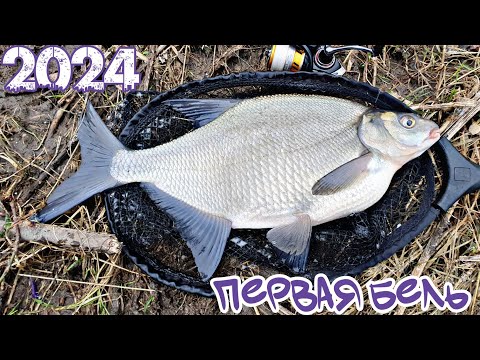 Видео: Наноджиг. Открытие сезона. Китайский "Vanquish" vs. русская бель